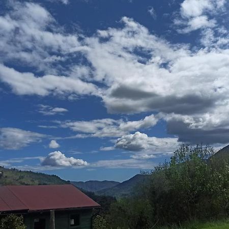 Agriturismo Il Mulino Stibiveri Zewnętrze zdjęcie