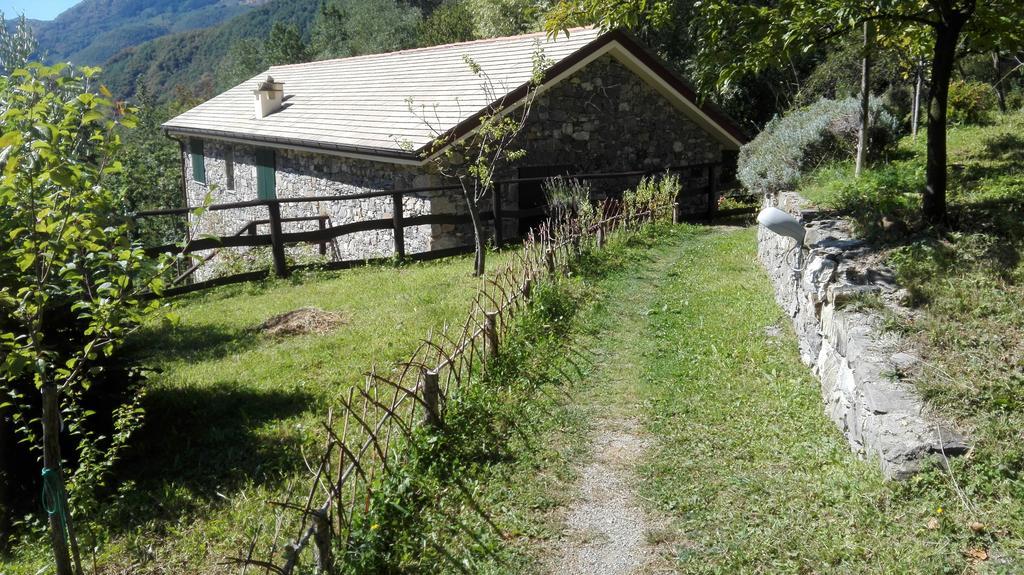 Agriturismo Il Mulino Stibiveri Zewnętrze zdjęcie